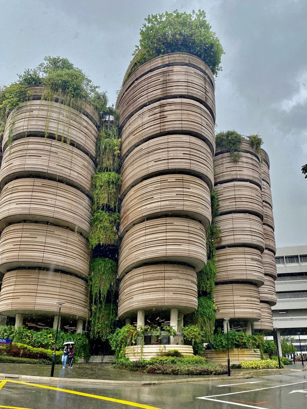 1701006866621016823.jpg 1701006866621016823.jpg